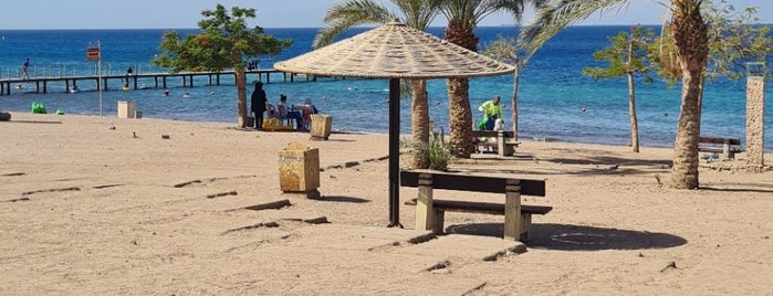 Aqaba Beach is one of Lieux qui ont plu à Nilgün.