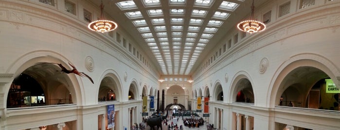 The Field Museum is one of Out of town.