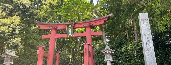 彌彦神社 is one of 観光.