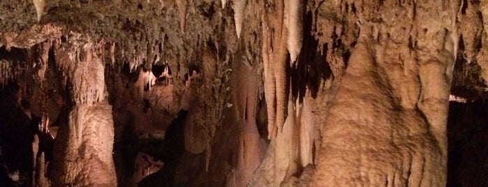Inner Space Caverns is one of Austin.