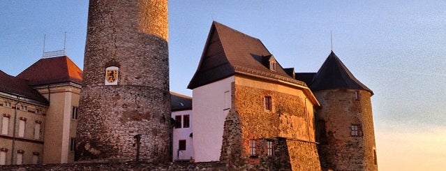 Schloss Voigtsberg is one of Dirk : понравившиеся места.