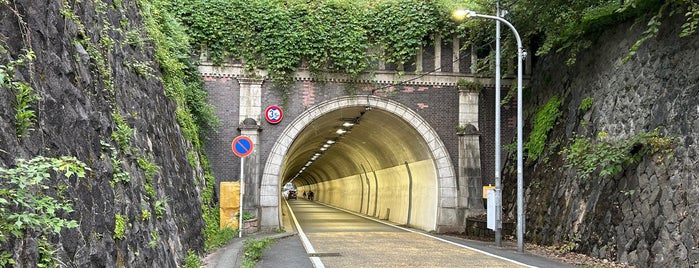 東隧道 is one of 神奈川散歩.