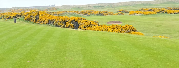Cruden Bay Golf Club is one of Aberdeen Golf.