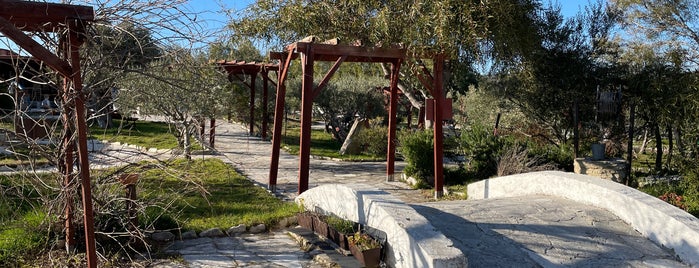 Olive Park Oleastro is one of Cyprus.