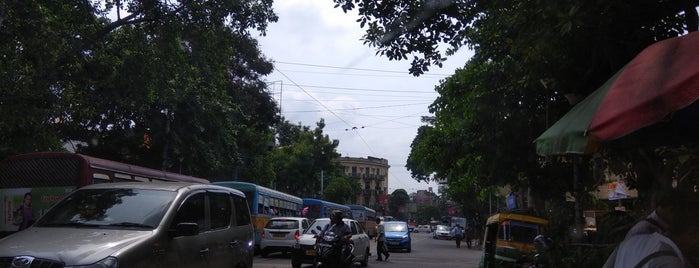 Hazra Crossing is one of calcutta intersections.