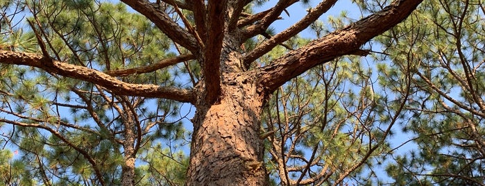 Smith Lake is one of Parks & Nature Preserves.