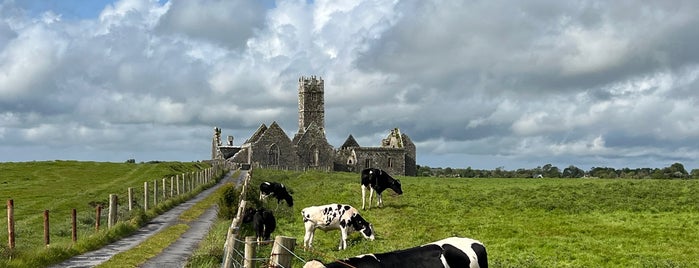 Ross Errilly Friary is one of IRELAND.