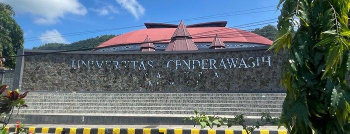 Universitas Cenderawasih is one of State University.