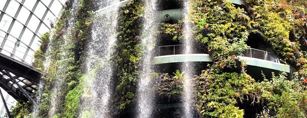 Cloud Forest is one of Singapore.