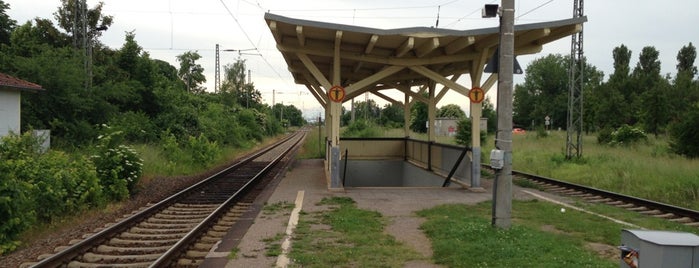 Bahnof Stotternheim is one of Bf's Thüringen (Nord).