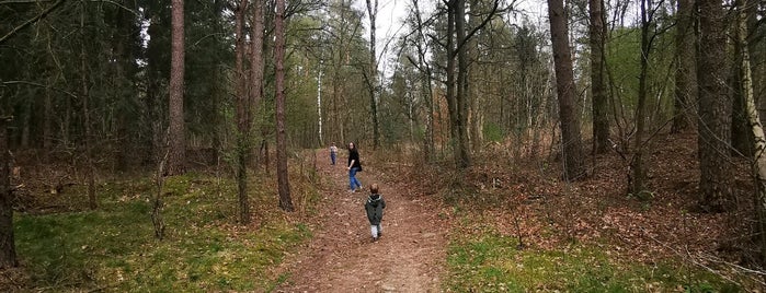 Naturpark Lüneburger Heide is one of Germany Sights.