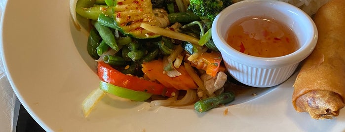 Thai Elephant is one of Delicious Vegetarian Options.