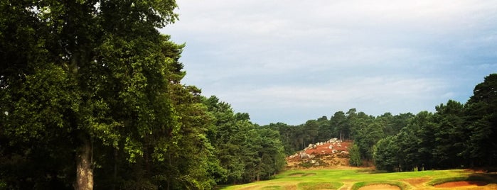 Golf de Fontainebleau is one of Paris at its Best ~ Salut!.