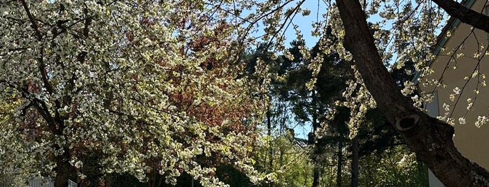 Marabouparken is one of Sweden with kid.