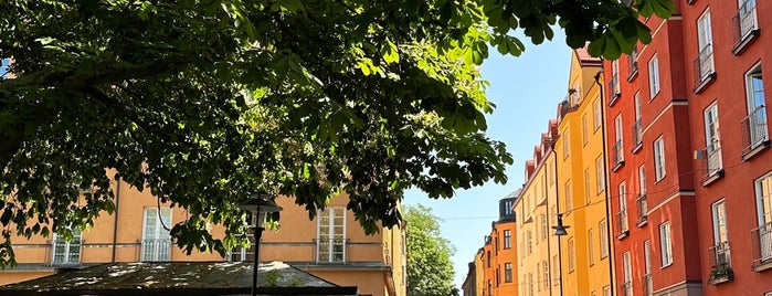 Södermalmsallén is one of Walking spots in Stockholm.