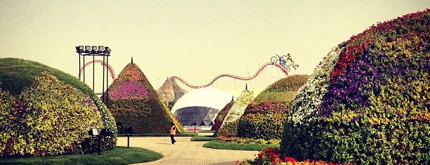 Dubai Miracle Garden is one of Dubai to-do list.