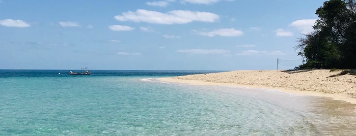 Green Island Beach is one of Peterさんのお気に入りスポット.