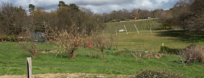 Holm Oak Vineyard is one of TAS - Wine Country.
