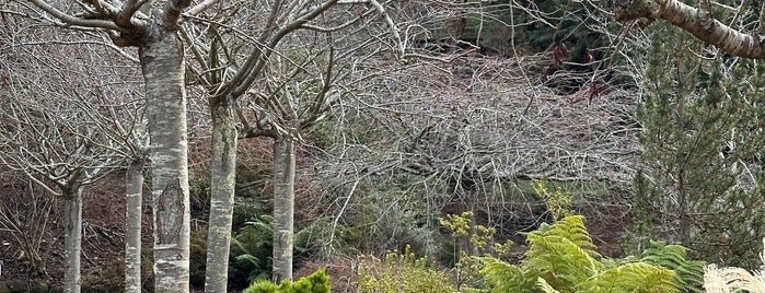 Emu Valley Rhododendron Garden is one of 1st trip to Australia.