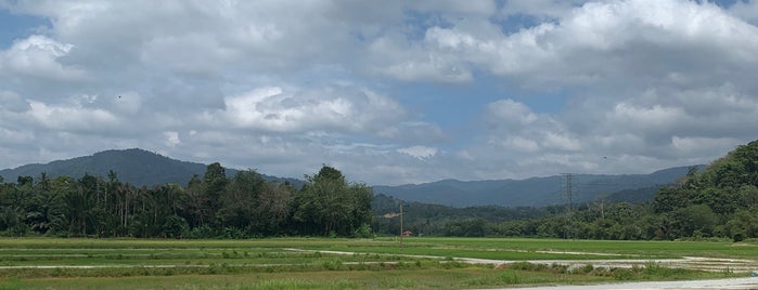 Restoran Warisan, Seri Menanti, Kuala Pilah is one of Food Feastivals.