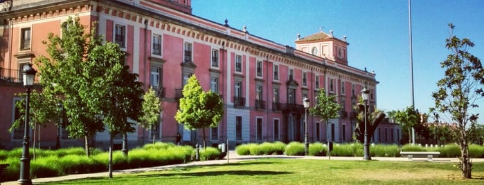 Palacio Infante Don Luis is one of Madrid Comunidad.