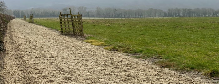 The Chiltern Hills is one of London saved places.