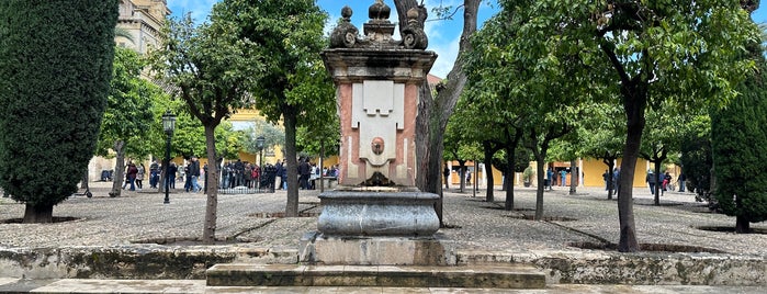Patio de los Naranjos is one of Córdoba.