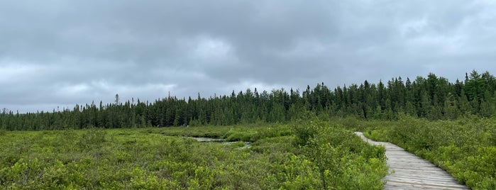 Spruce Bog Trail is one of Hikes and Campgrounds To-Do.