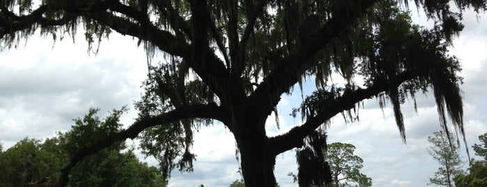 Hofwyl-Broadfield Plantation is one of Savannah.