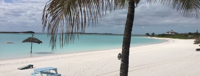 The Abaco Club Beach is one of Vincentさんのお気に入りスポット.