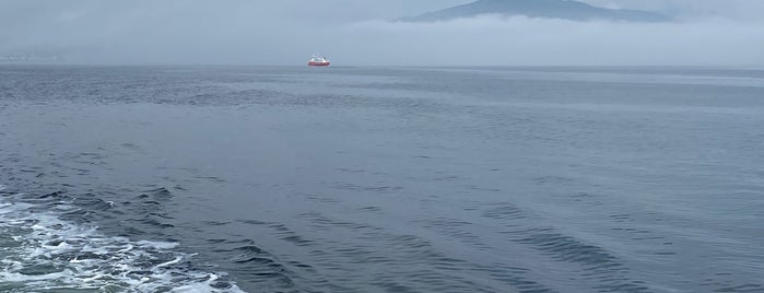 Sound Of Soay Ferry is one of Posti che sono piaciuti a Luciana.