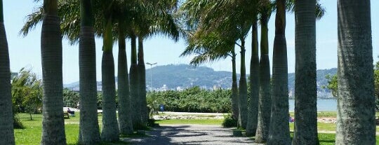 Parque de Coqueiros is one of Florianópolis.