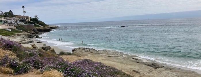 La Jolla Beach is one of Stephanie’s Liked Places.