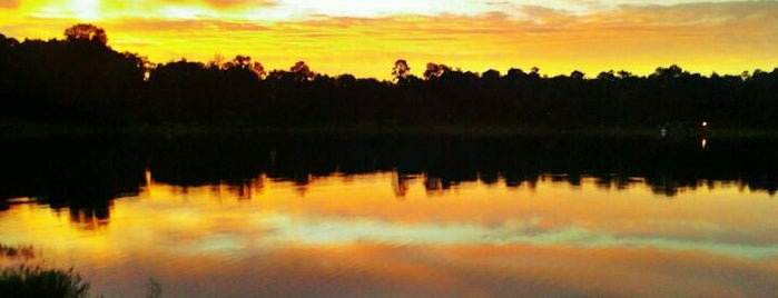 Beach Kowboy Lakeside Dock is one of Tempat yang Disukai Tall.