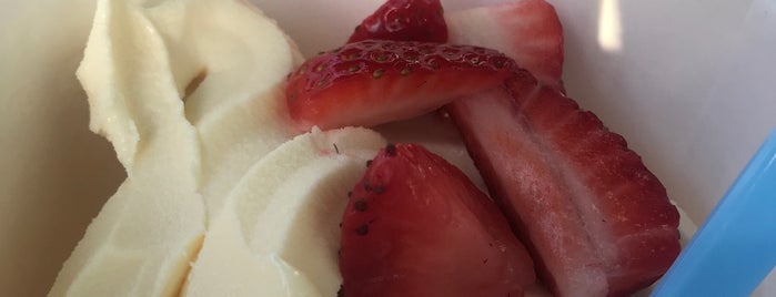 Tutti Frutti Frozen Yogurt is one of Favorite Food.