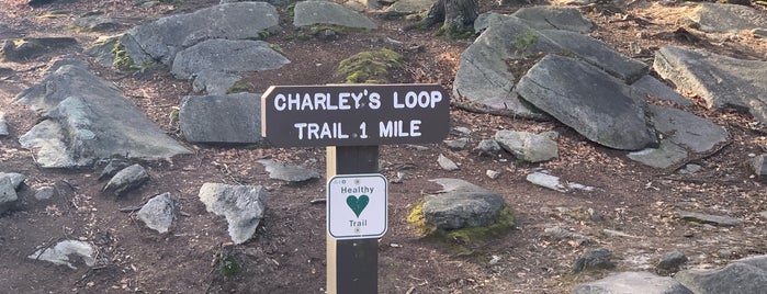 Charleys Loop Trail is one of Orte, die Nick gefallen.