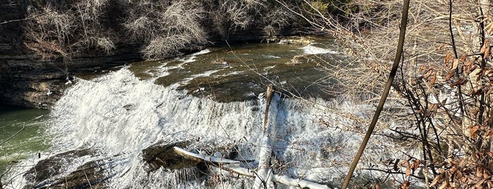 Burgess Falls State Park is one of Guide to Cookeville's best spots.