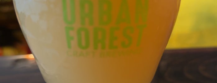 Urban Forest Craft Brewing is one of suds not yet tapped.
