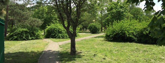 Чистяковская роща is one of Сады и парки Краснодара.