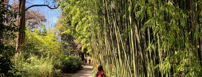 Jardin des Plantes is one of Kristinaさんのお気に入りスポット.