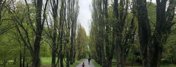 Piknikparken, Botanisk Hage is one of Lugares favoritos de Cenker.