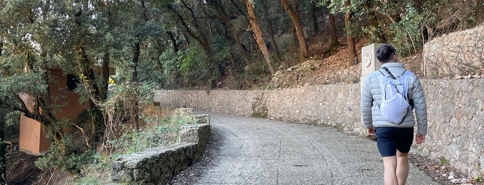 Road to Capella de la Santa Cova is one of To Try - Elsewhere34.