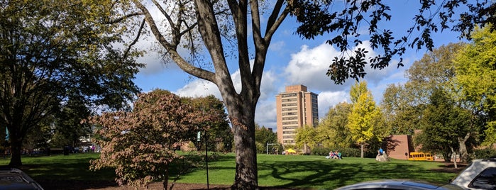 Circle Park is one of You know your a Vol if... (UT campus).