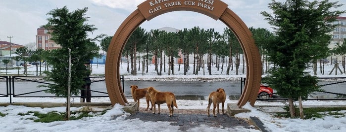 Gazi Tarık Cür Parkı is one of Yeni yerler.