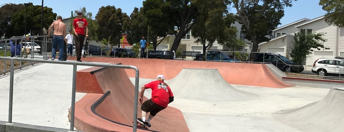 The Dish is one of skate parks.