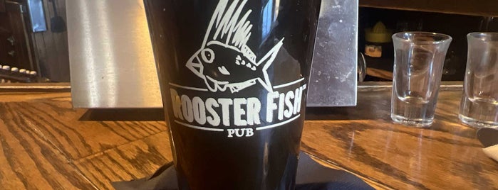 Rooster Fish Brewing Pub is one of watkins glenn.