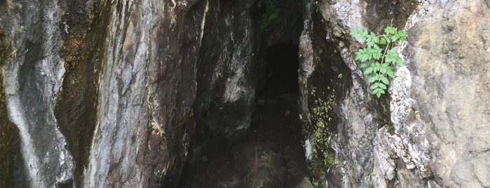 Massacre Cave is one of Scotland.