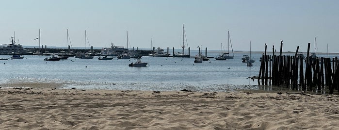 Whaler's Wharf is one of Provincetown, MA.
