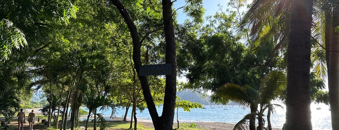 Playas del Coco is one of Lieux qui ont plu à Curt.