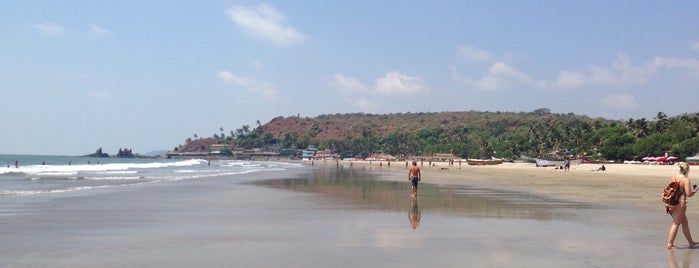 Arambol Beach is one of Royal Goa Trip.